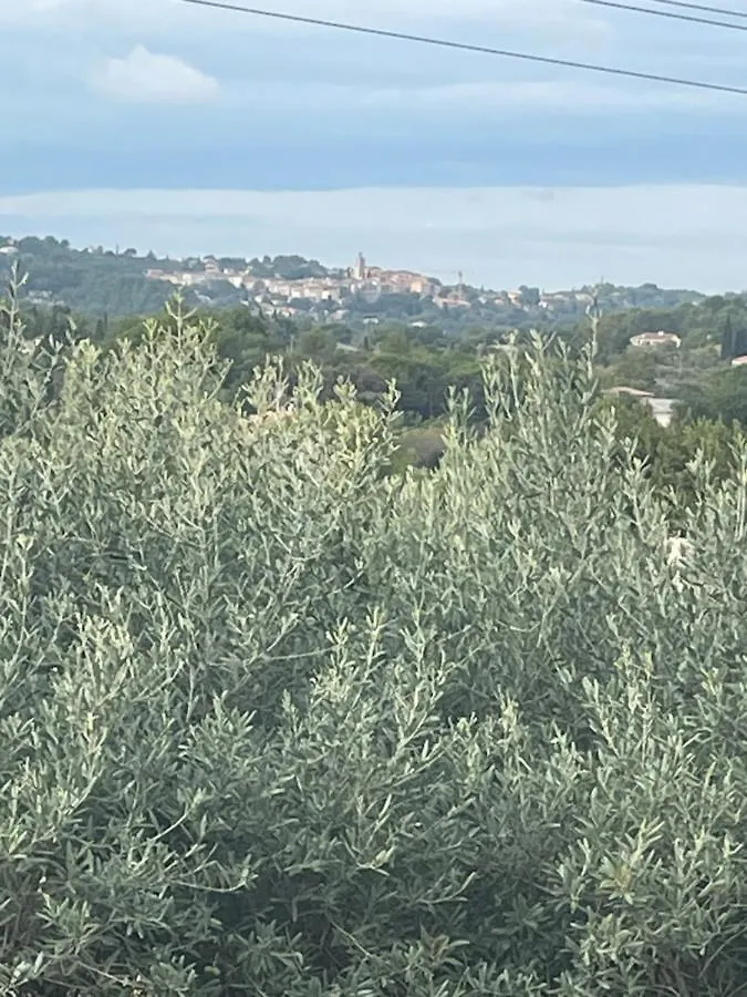 Villa 180 M2 Piscine Draguignan France